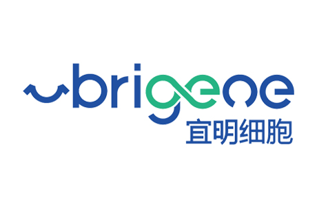 宜明细胞（Brigeoe）完成2亿人民币B轮融资