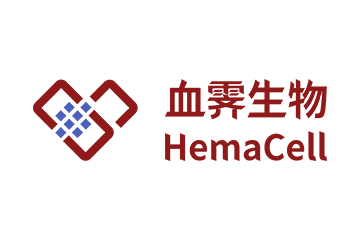 血霁生物（HemaCell）完成数千万元种子轮融资