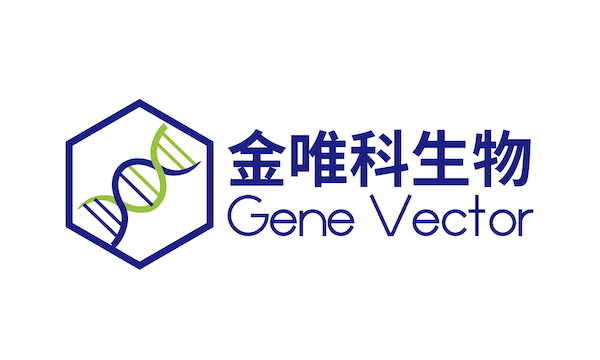 金唯科生物（Gene Vector）完成数千万元Pre-A轮融资
