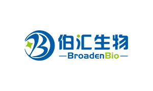 伯汇生物（BroadenBio）完成数千万元PreA+轮融资