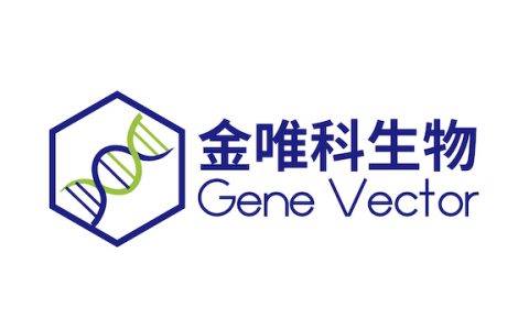 金唯科生物（Gene Vector）完成数千万元新一轮融资