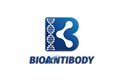 佰抗生物（BioAntiBody）完成近亿元A轮融资