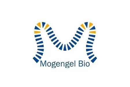 模基生物（Mogengel）完成数千万元战略融资