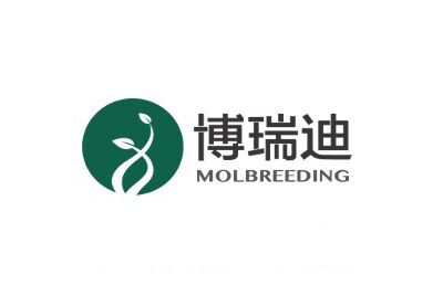 博瑞迪（MolBreeding）完成数千万元A2+轮融资