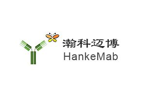 瀚科迈博（HankeMab）完成数千万A+轮融资