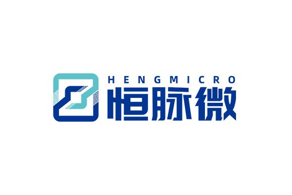 恒脉微（HengMicro）完成数千万元Pre-A轮融资