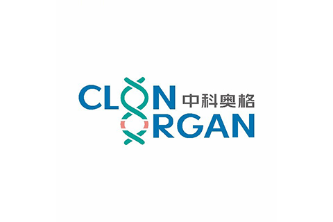 中科奥格（ClonOrgan）完成数千万元A++轮融资