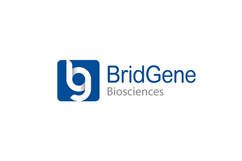 BridGene（桥济生物）完成2800万美元B+轮融资
