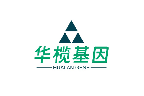 华榄基因（HualanGene）完成8亿元天使轮融资
